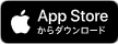 iTunes store